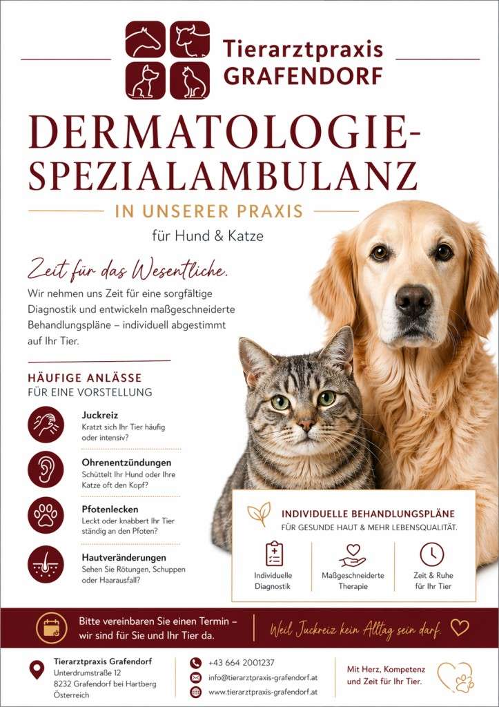Tierarztpraxis für Hunde und Katzen